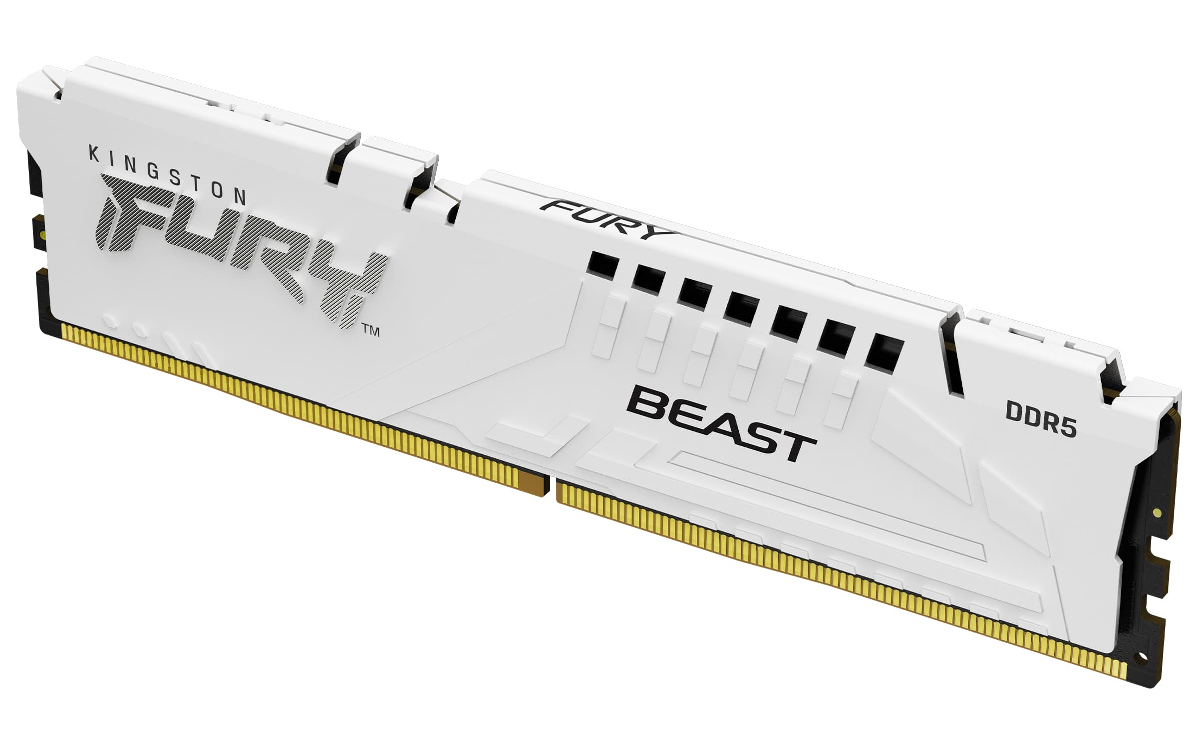 KINGSTON KINGSTON 16GB DDR5-5600MT/s CL36 DIMM FURY Beast 5739813