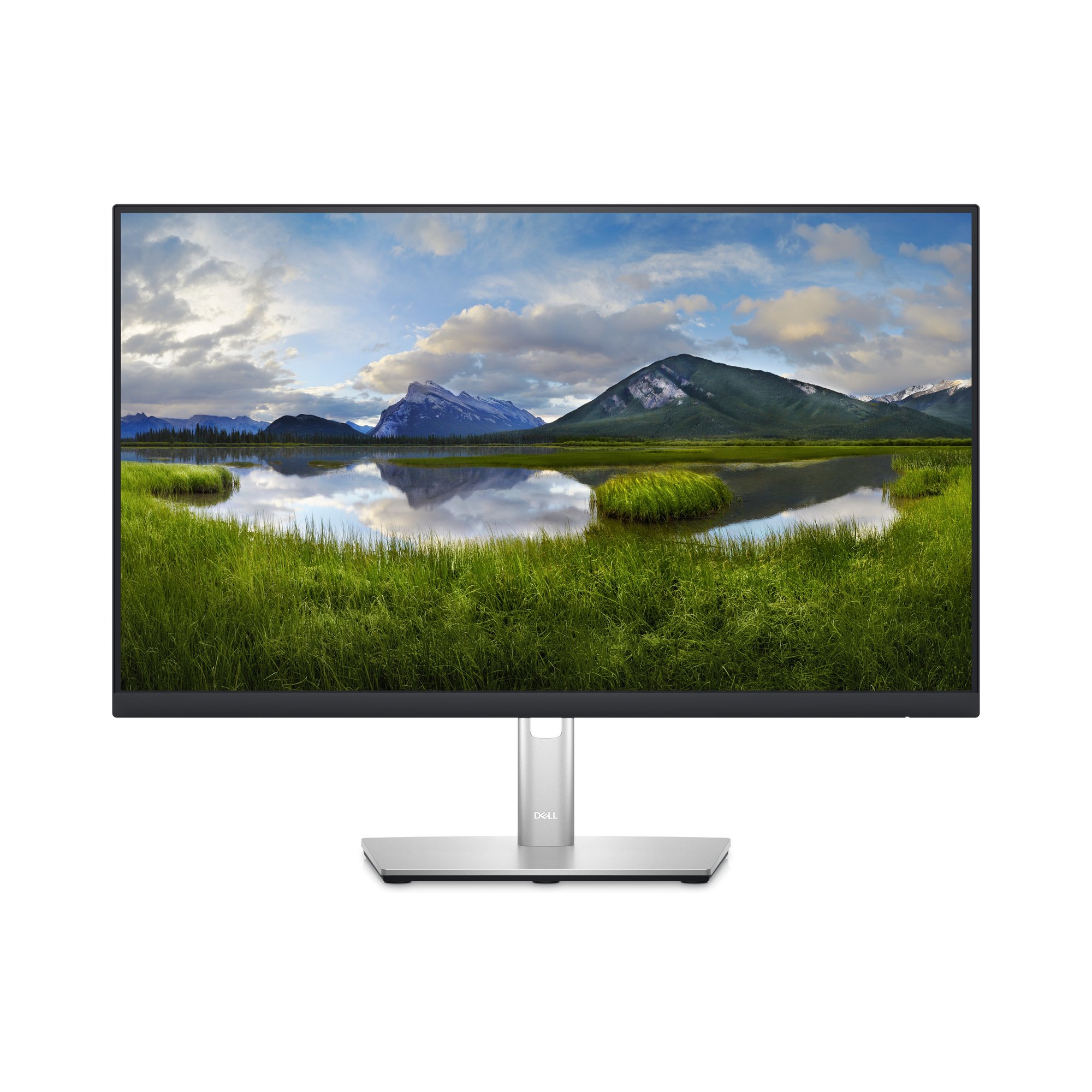 DELL Monitors