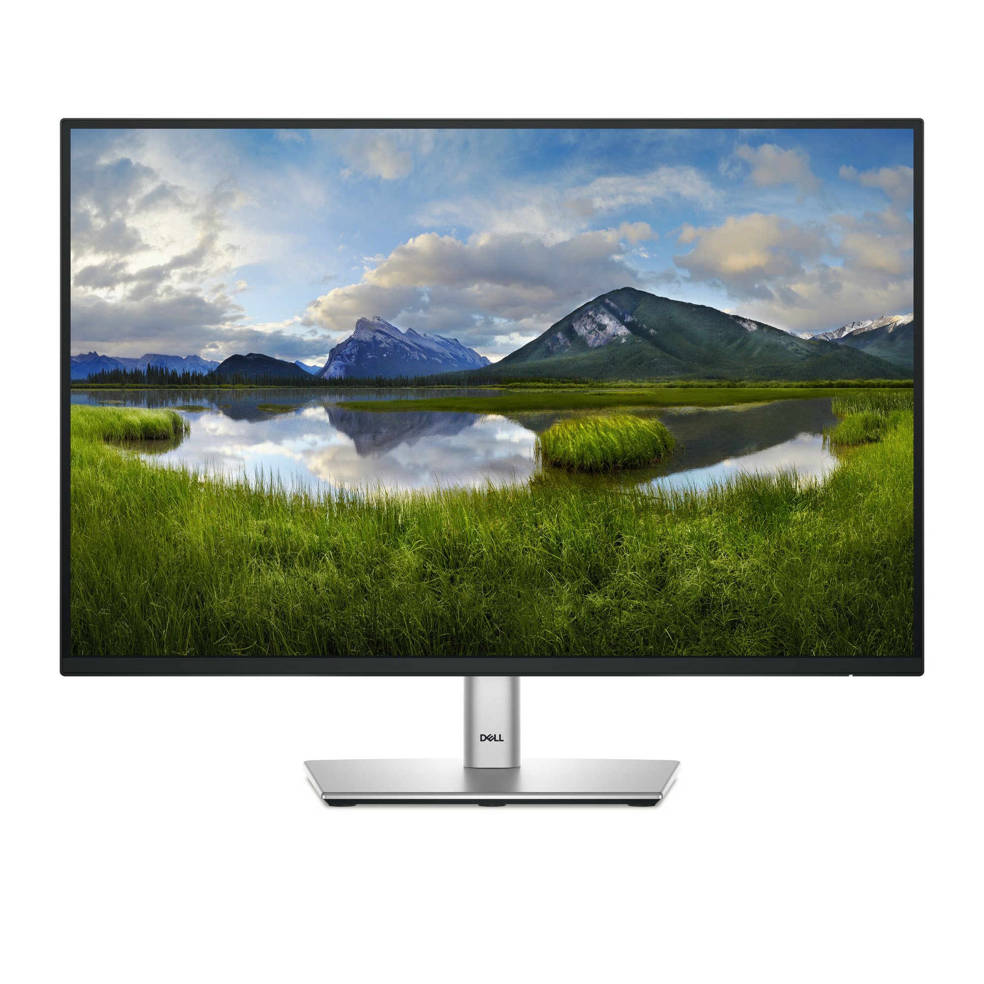 DELL Peripherals & Accessories